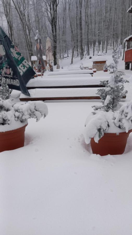 Chata Korenny Vrch Pezinska Baba Pezinok Buitenkant foto