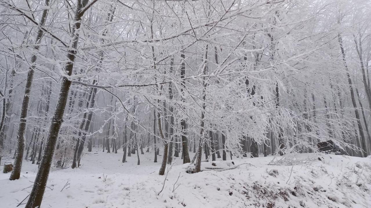 Chata Korenny Vrch Pezinska Baba Pezinok Buitenkant foto