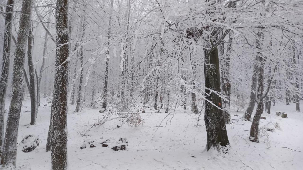 Chata Korenny Vrch Pezinska Baba Pezinok Buitenkant foto