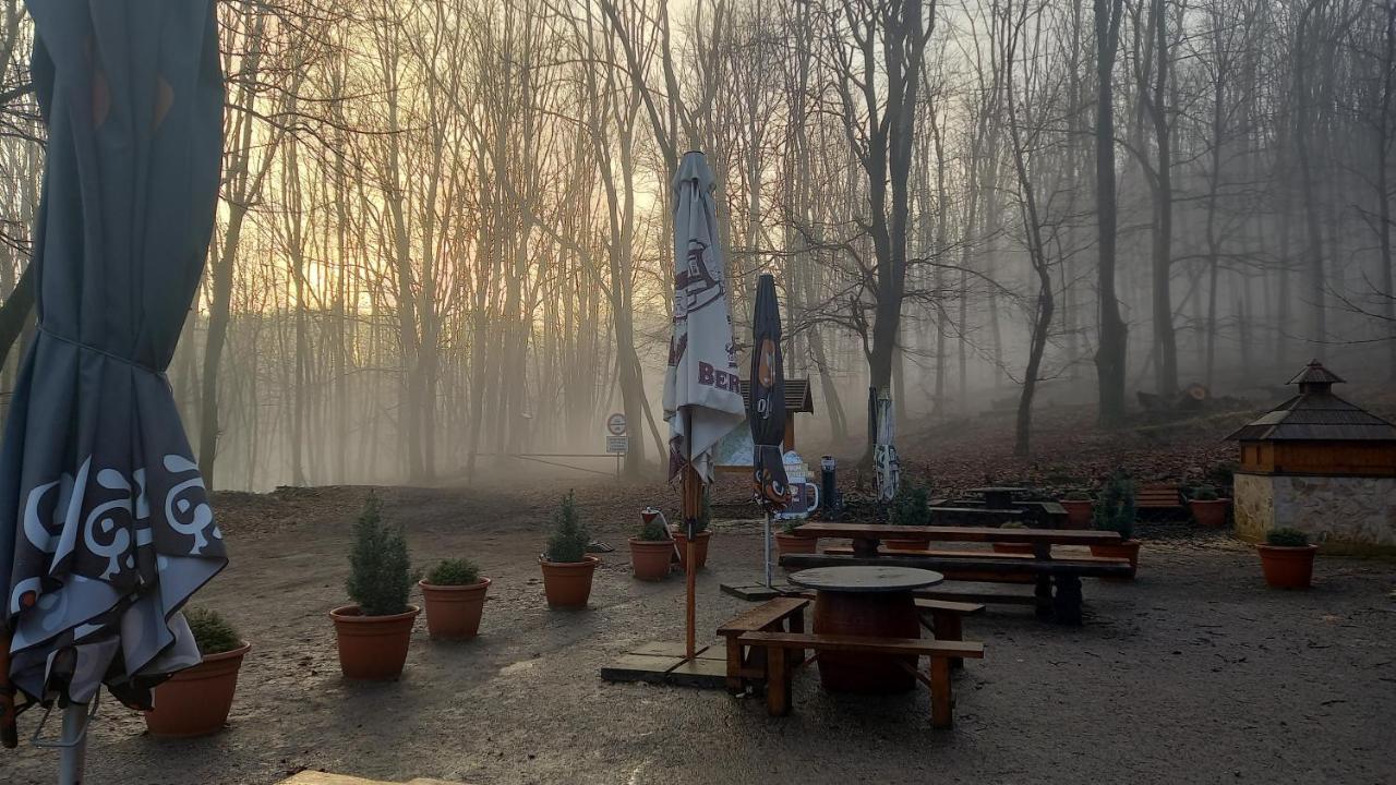 Chata Korenny Vrch Pezinska Baba Pezinok Buitenkant foto